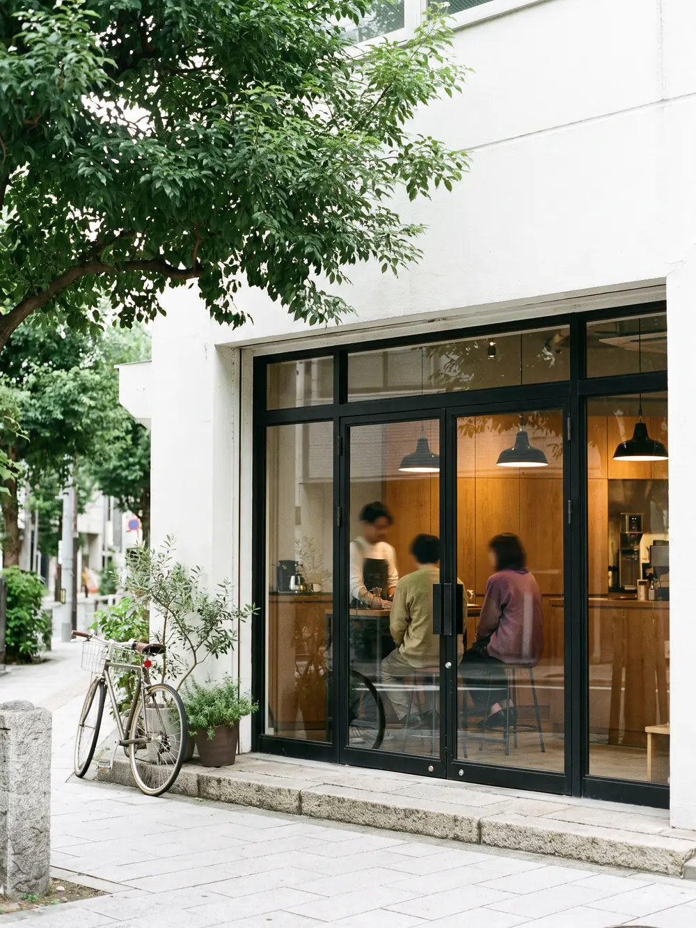 The shopfront from the street — plaster, steel-framed glass, a tree overhead